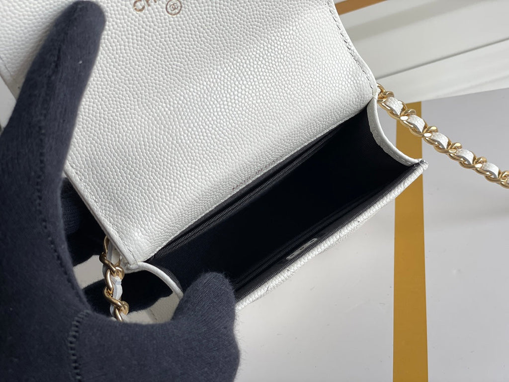 Chanel - Luxury Bag - CHL - 450