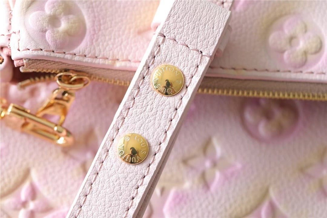 Louis Vuitton Multi Pochette Accessories Bag