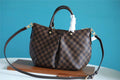 Louis Vuitton Siena MM Bag