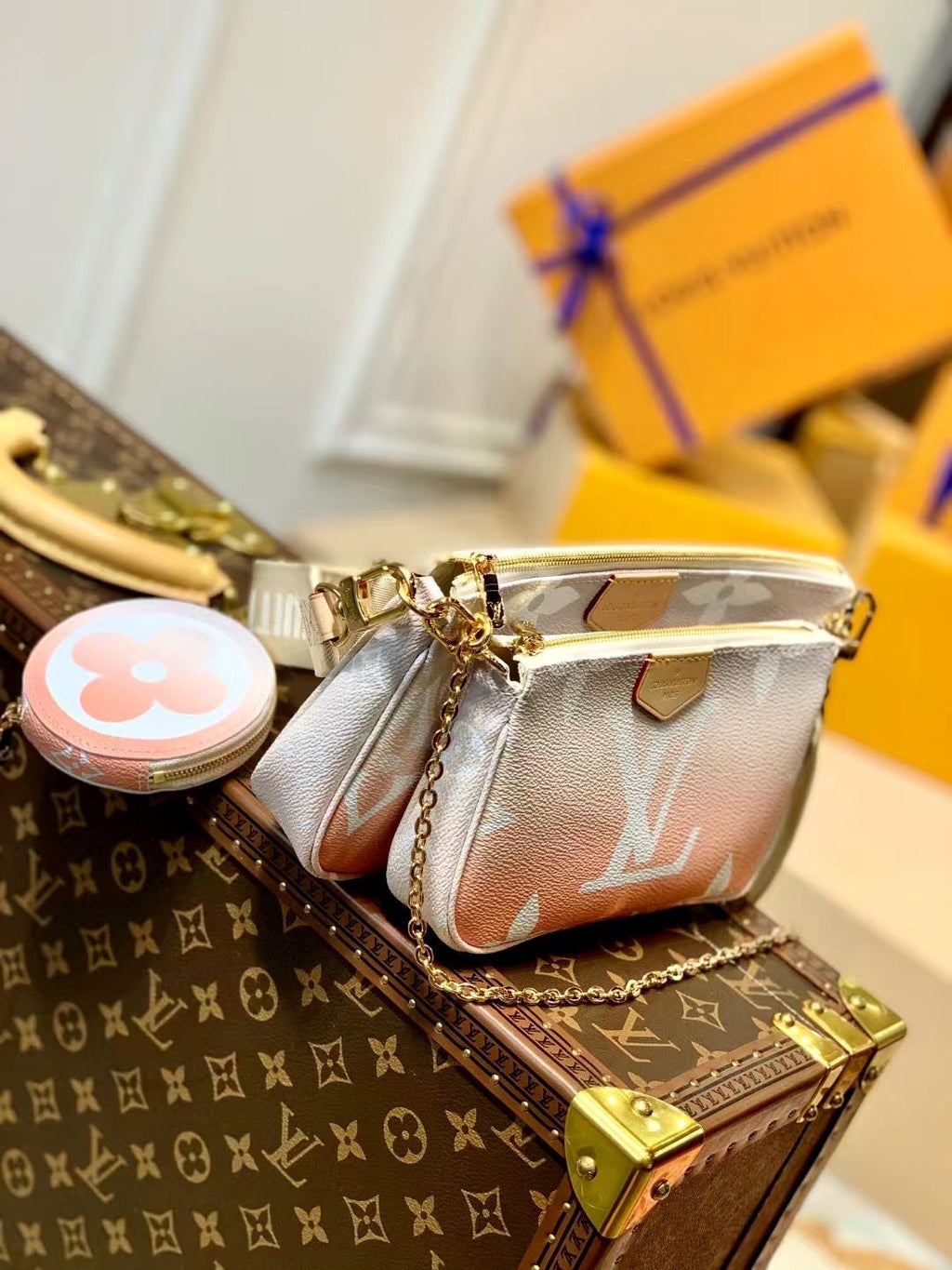 Louis Vuitton Multi Pochette Accessories Bag