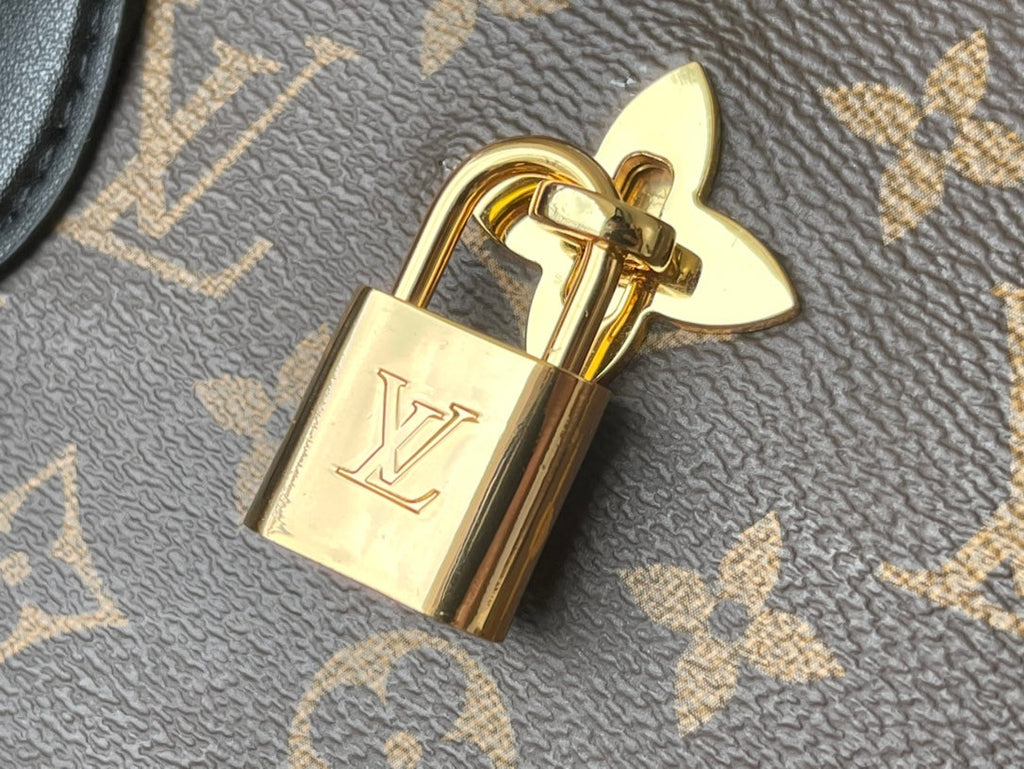 Louis Vuitton Flower Tote Bag