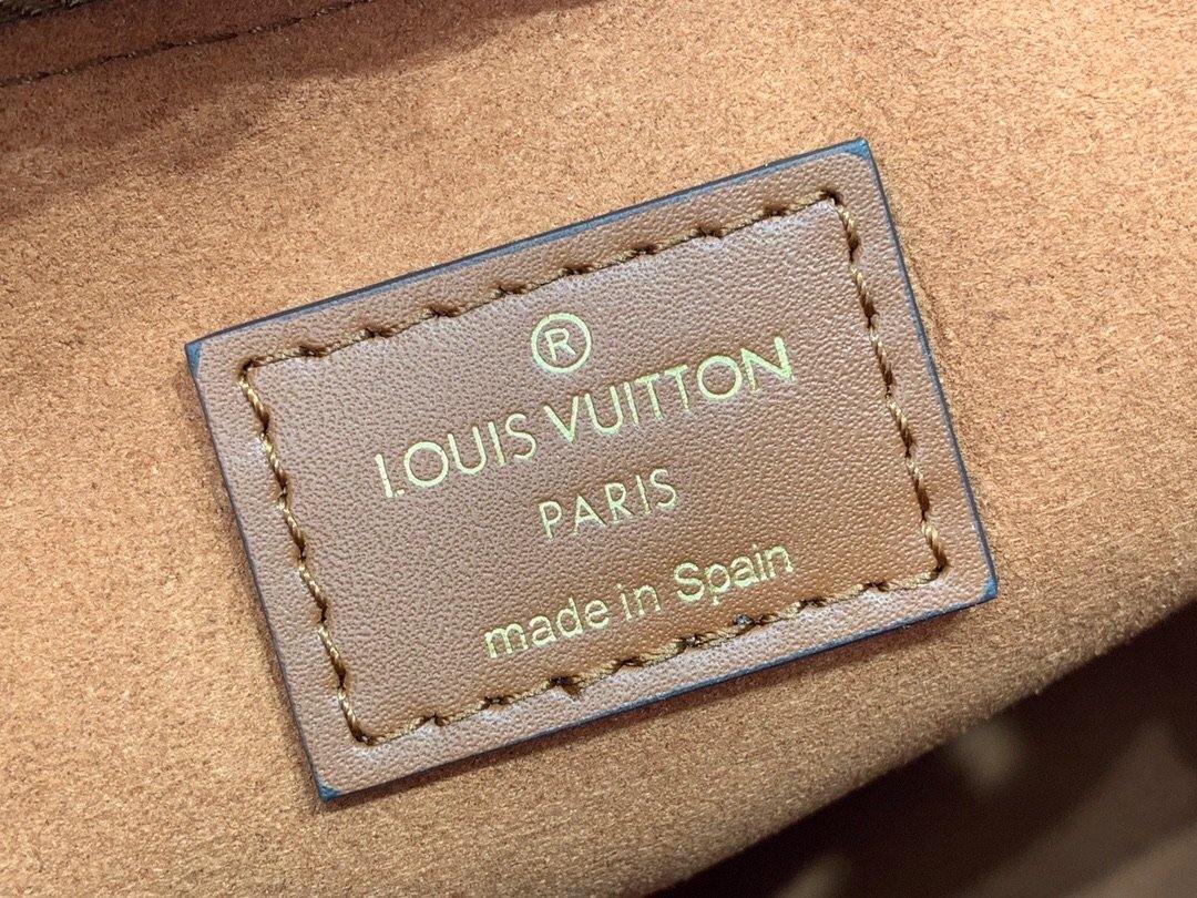 Louis Vuitton Soufflot MM Bag