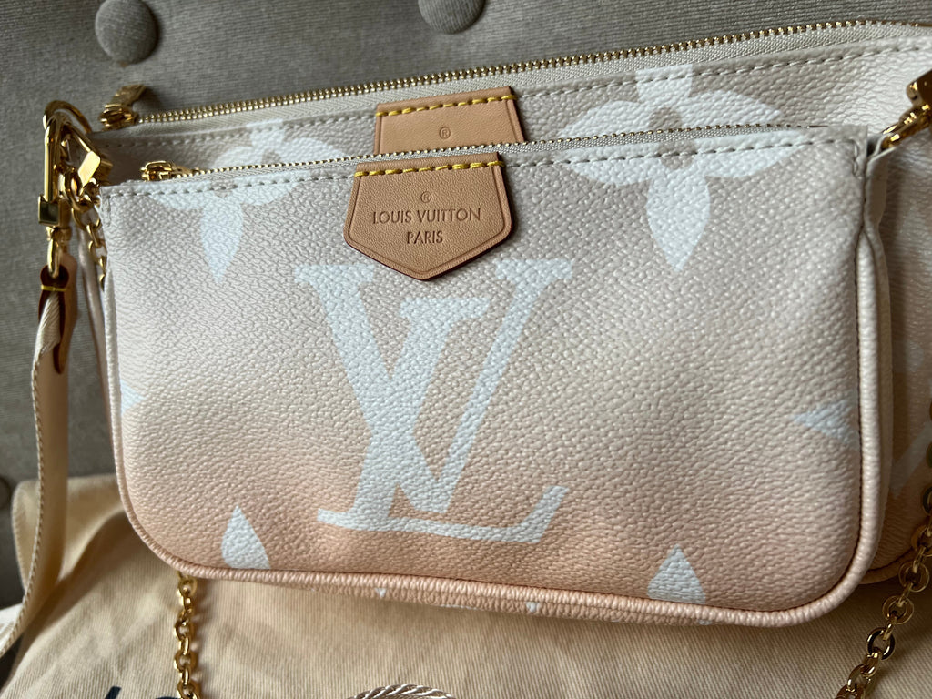 Louis Vuitton Multi Pochette Accessoires Summer By the Pool Limited Edition