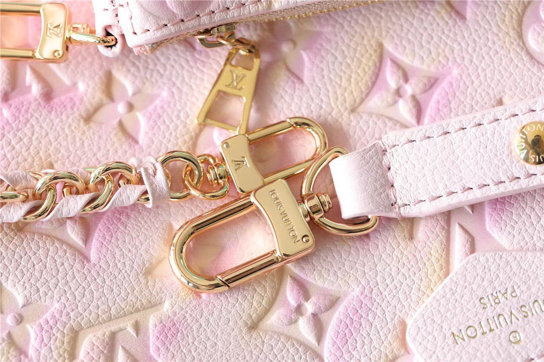 Louis Vuitton Multi Pochette Accessories Bag