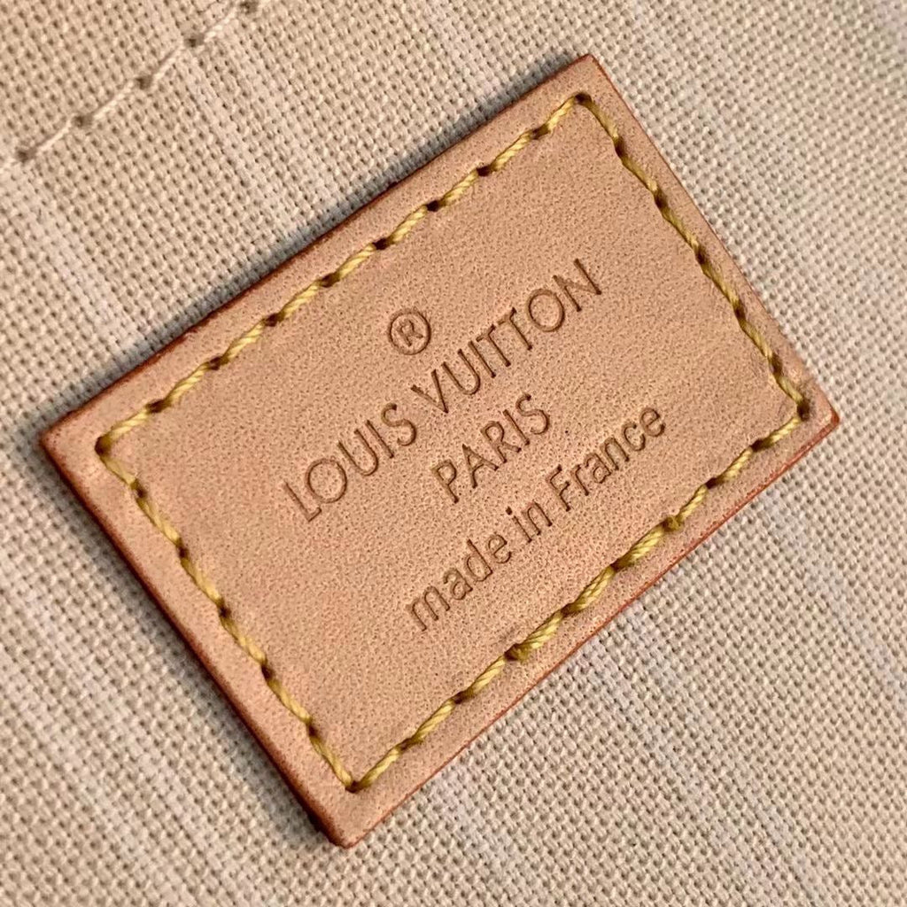 Louis Vuitton Multi Pochette Accessories Bag