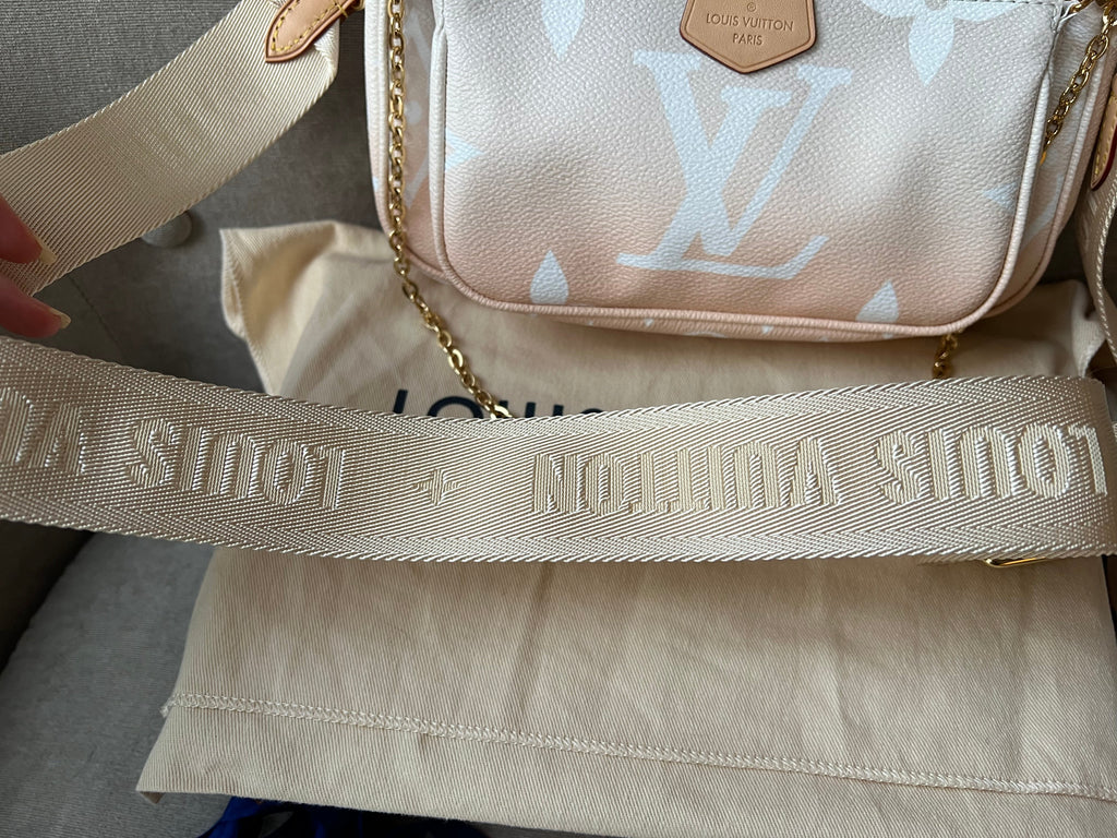 Louis Vuitton Multi Pochette Accessoires Summer By the Pool Limited Edition