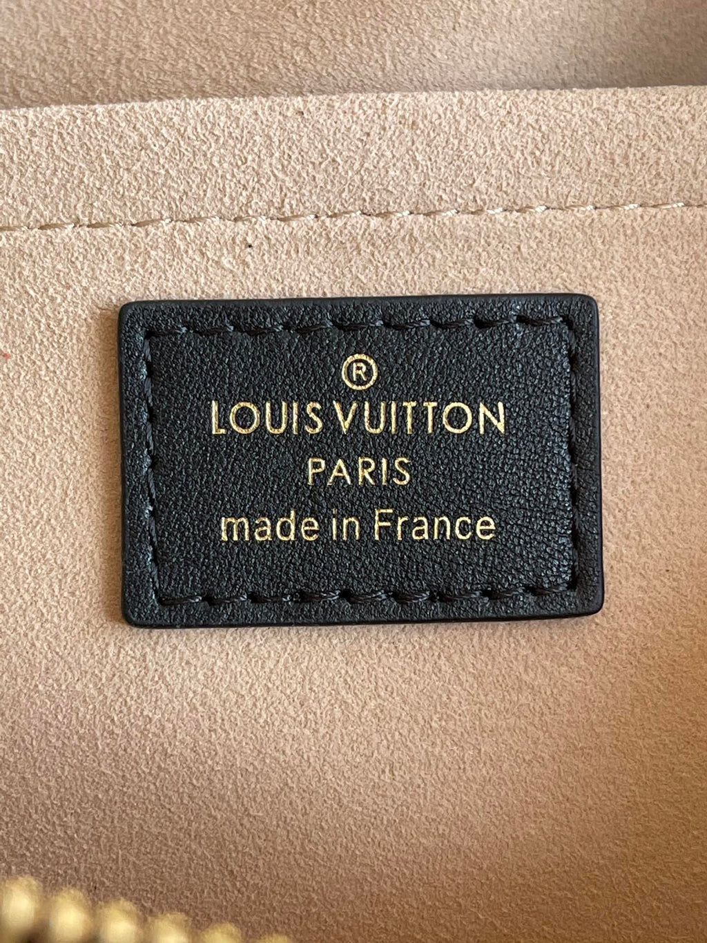 Louis Vuitton Troca PM Bag