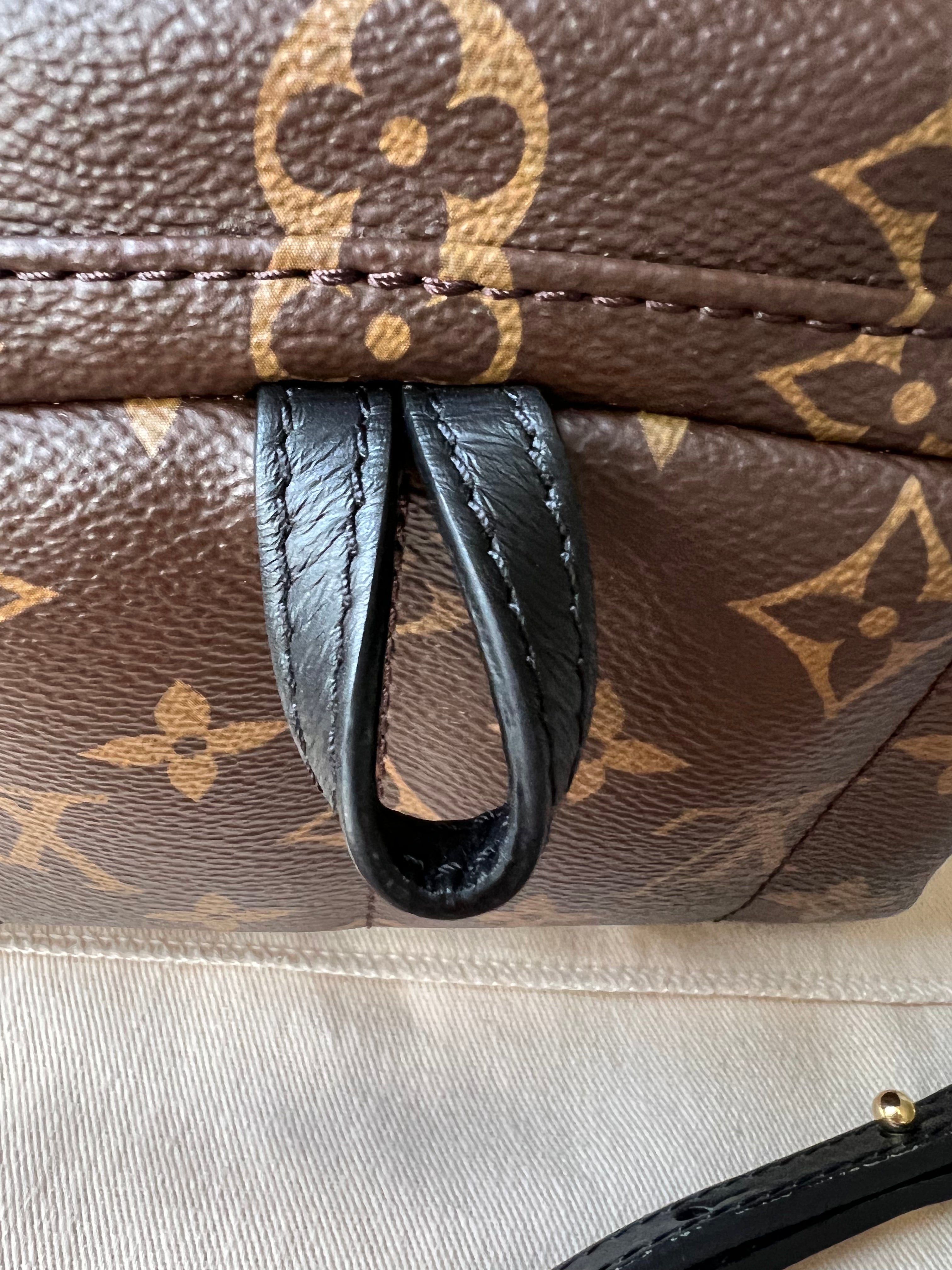 Louis Vuitton Palm Springs Mini Backpack (RRP £1,740)