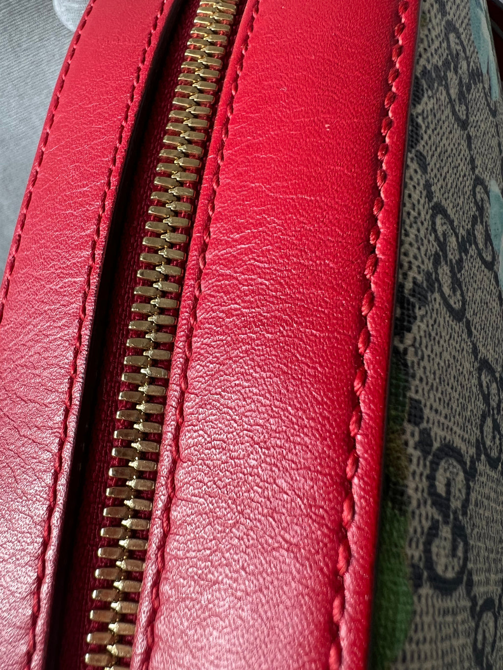 Gucci Dionysus Blooms GG Supreme Chain Mini Bag