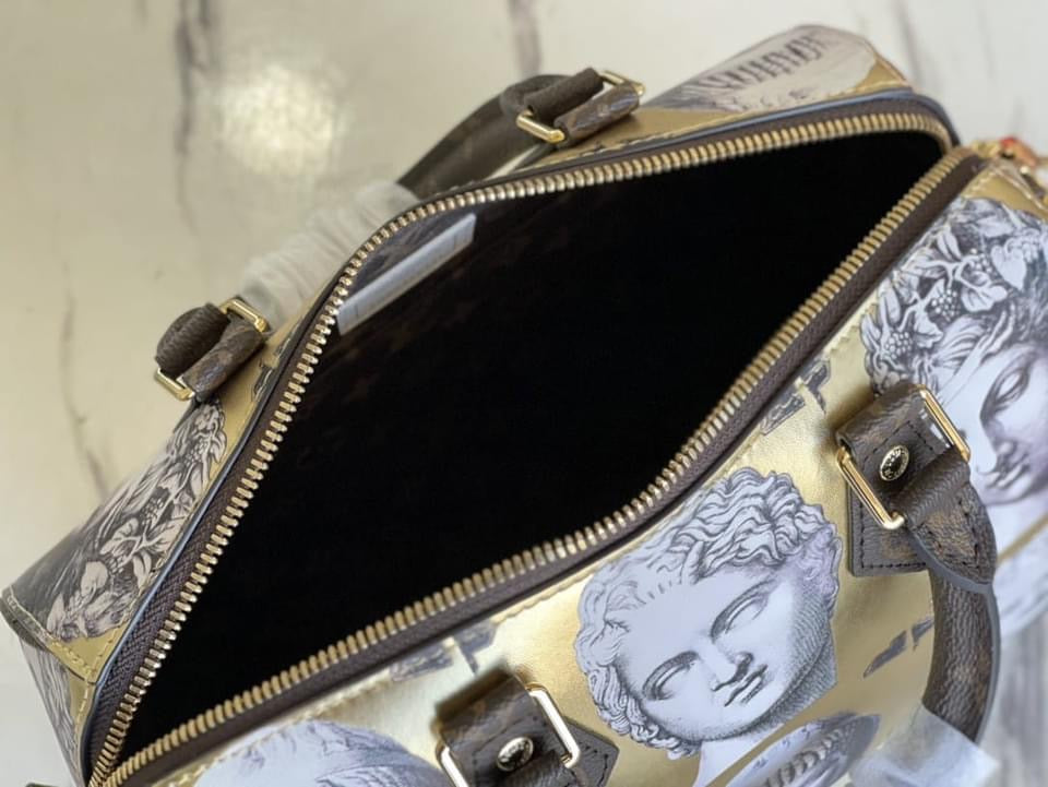 Louis Vuitton Speedy Bandouliere 25 Bag