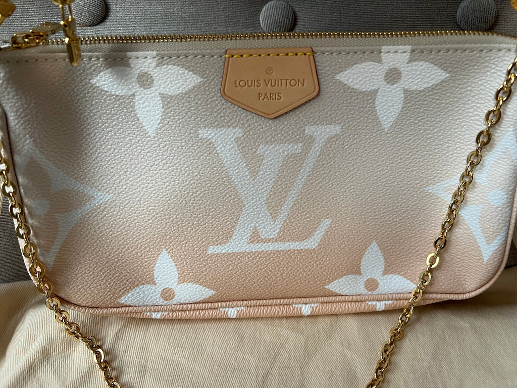 Louis Vuitton Multi Pochette Accessoires Summer By the Pool Limited Edition
