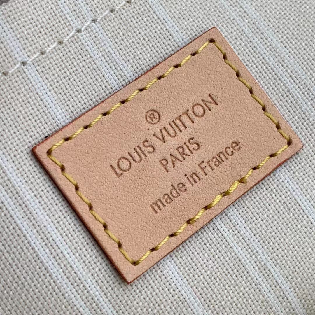 Louis Vuitton Multi Pochette Accessories Bag