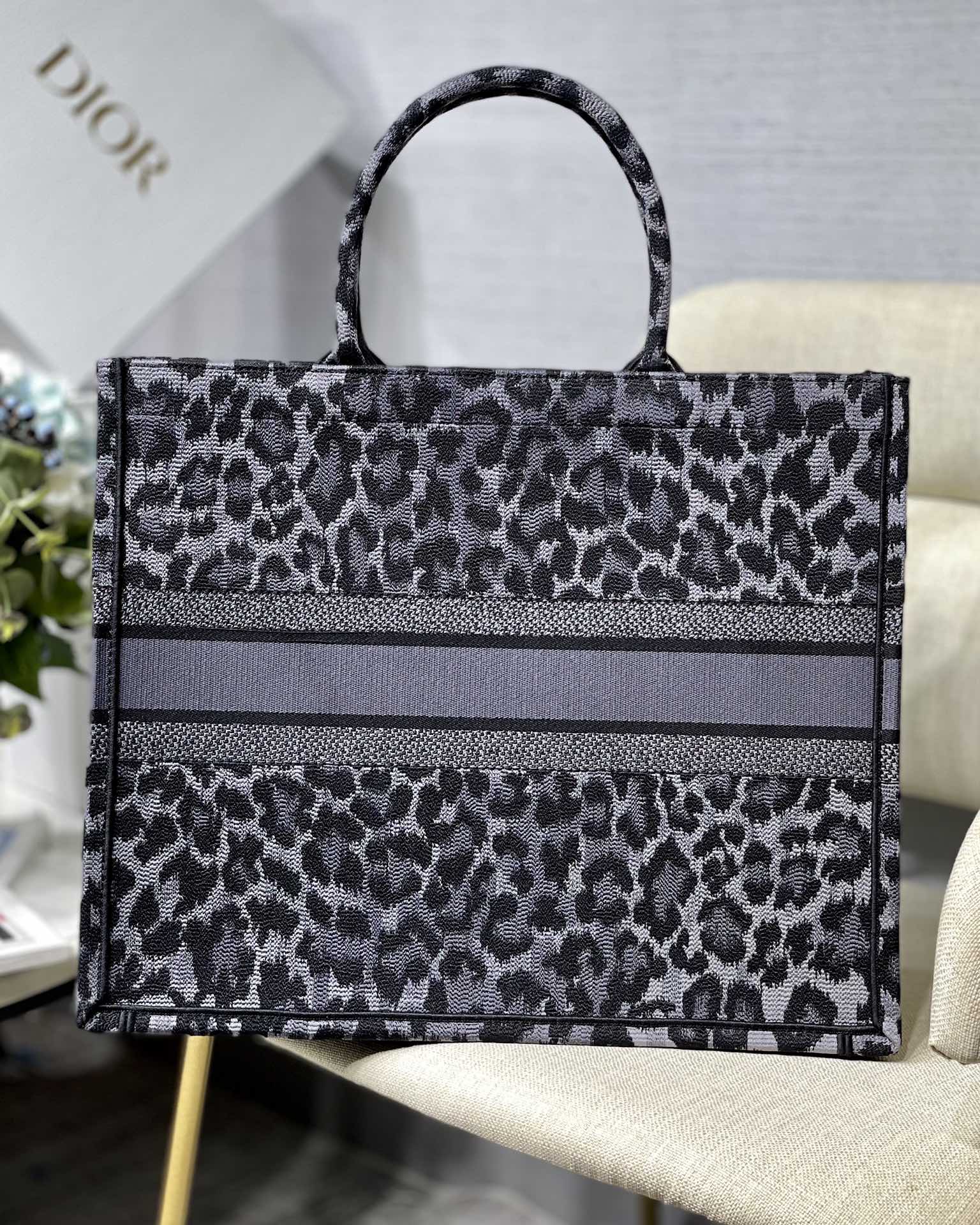 Christian Dior Book Tote Bag