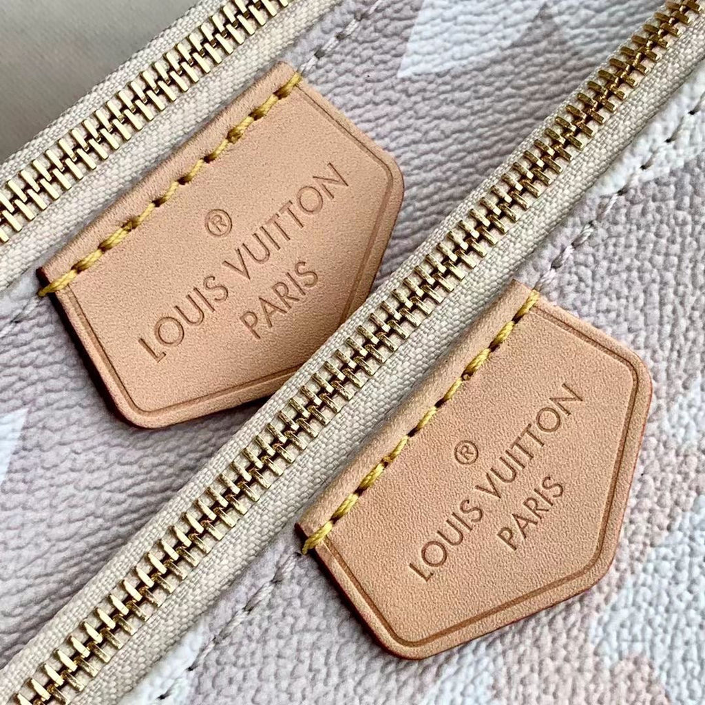 Louis Vuitton Multi Pochette Accessories Bag