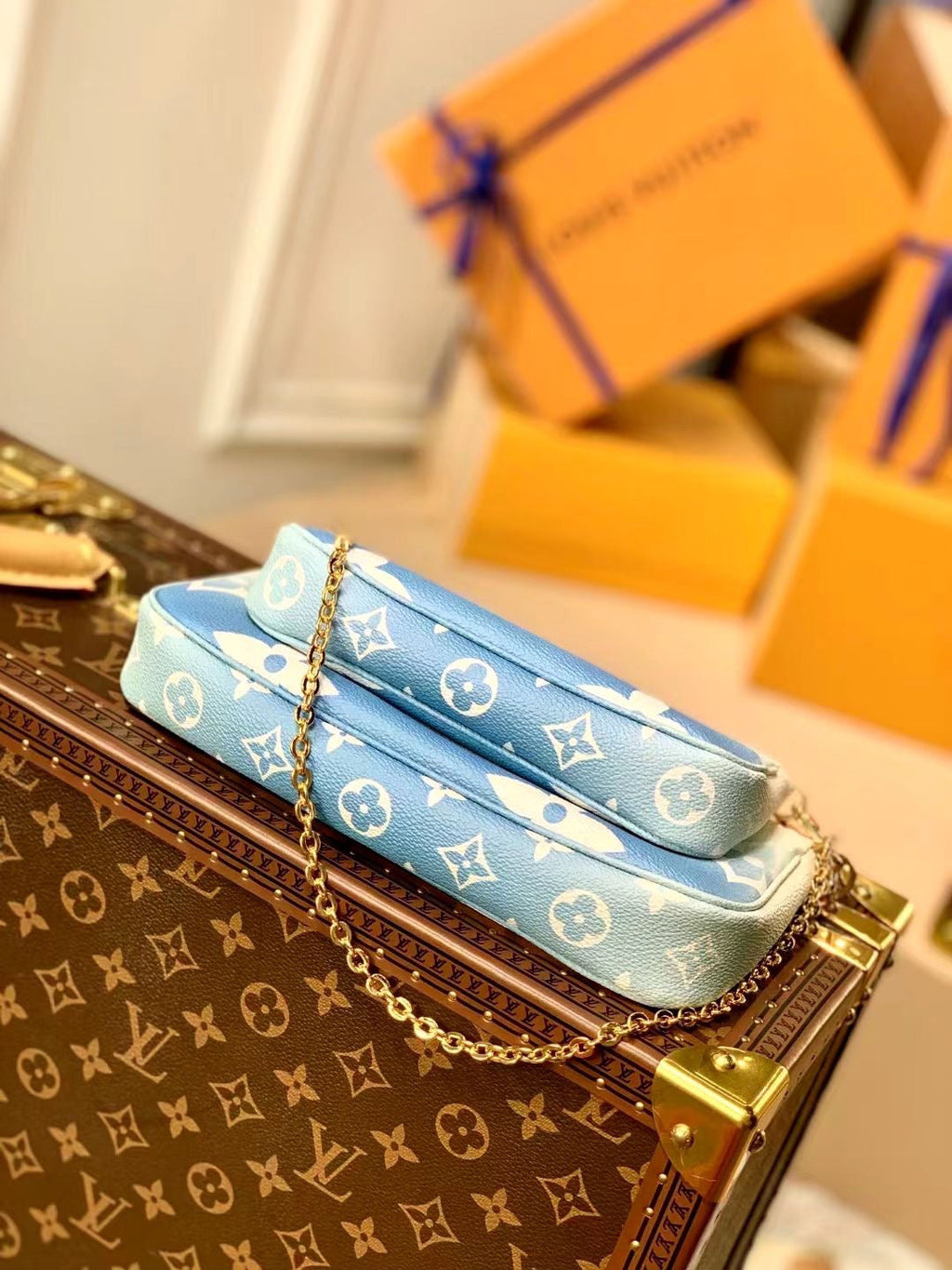 Louis Vuitton Multi Pochette Accessories Bag