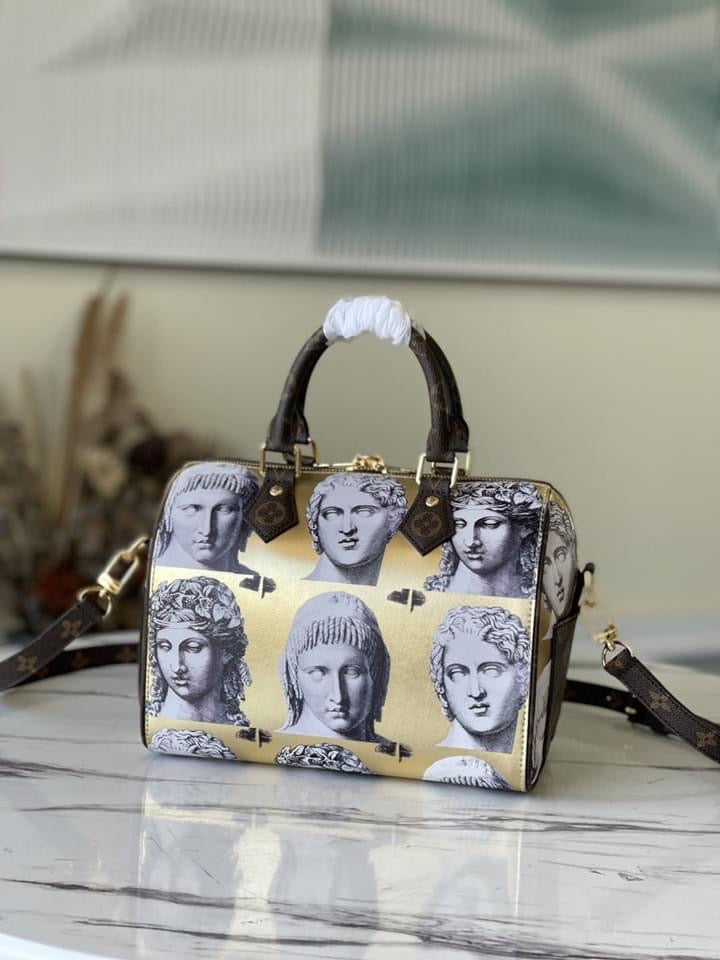 Louis Vuitton Speedy Bandouliere 25 Bag