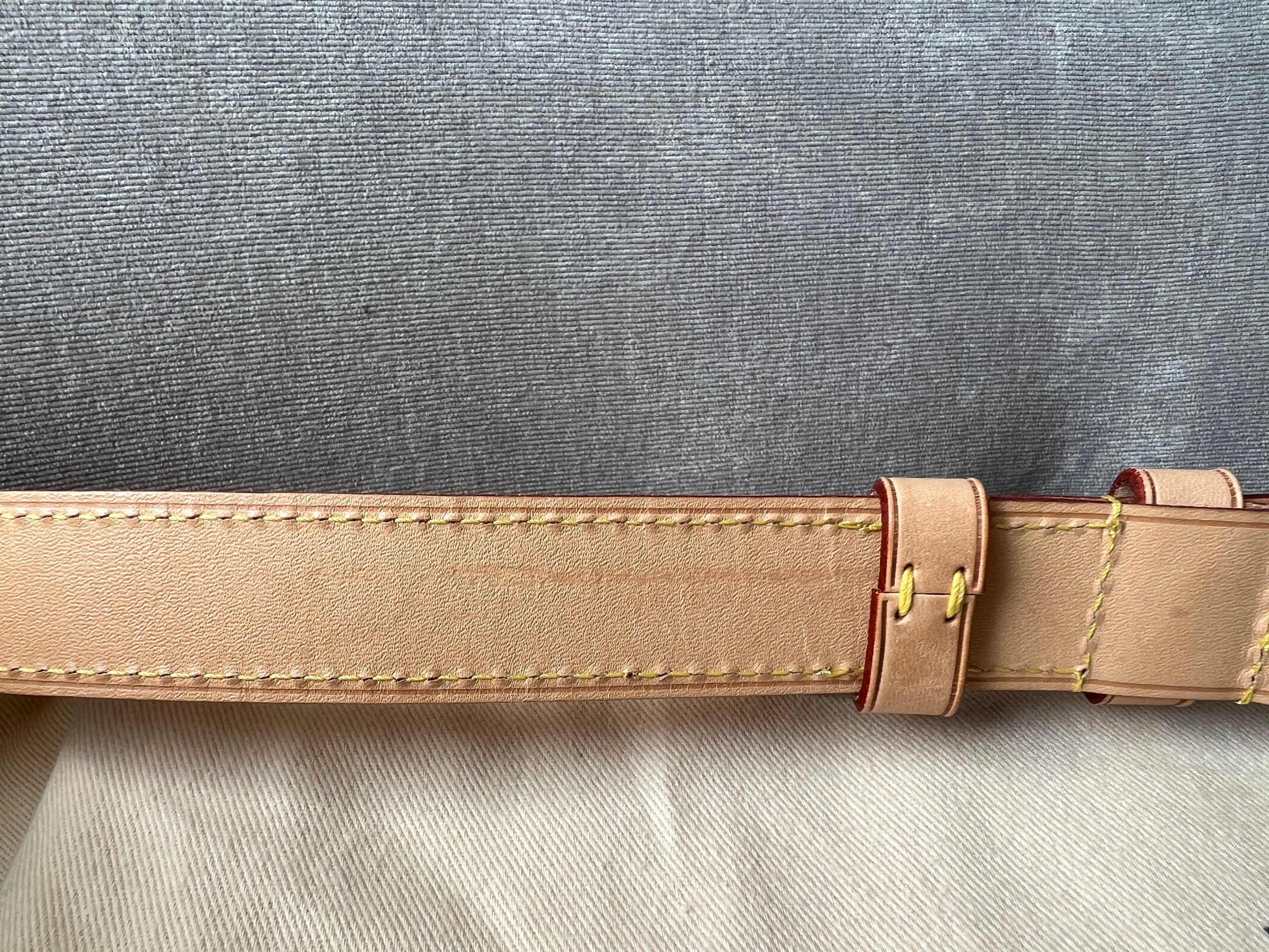 Louis Vuitton Bumbag in Monogram Canvas