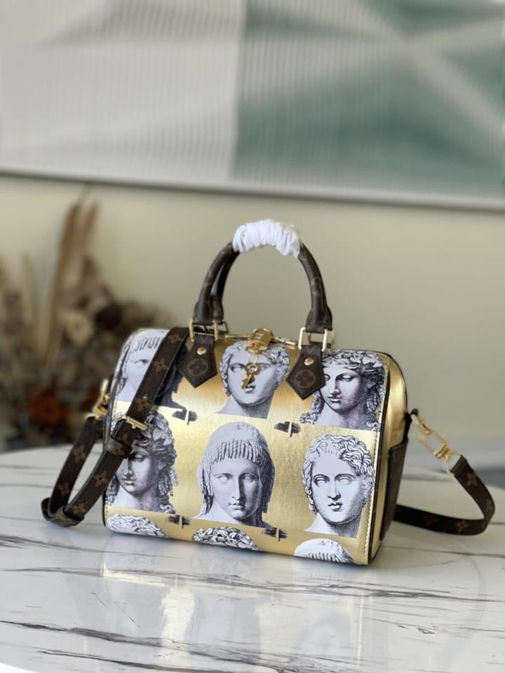 Louis Vuitton Speedy Bandouliere 25 Bag