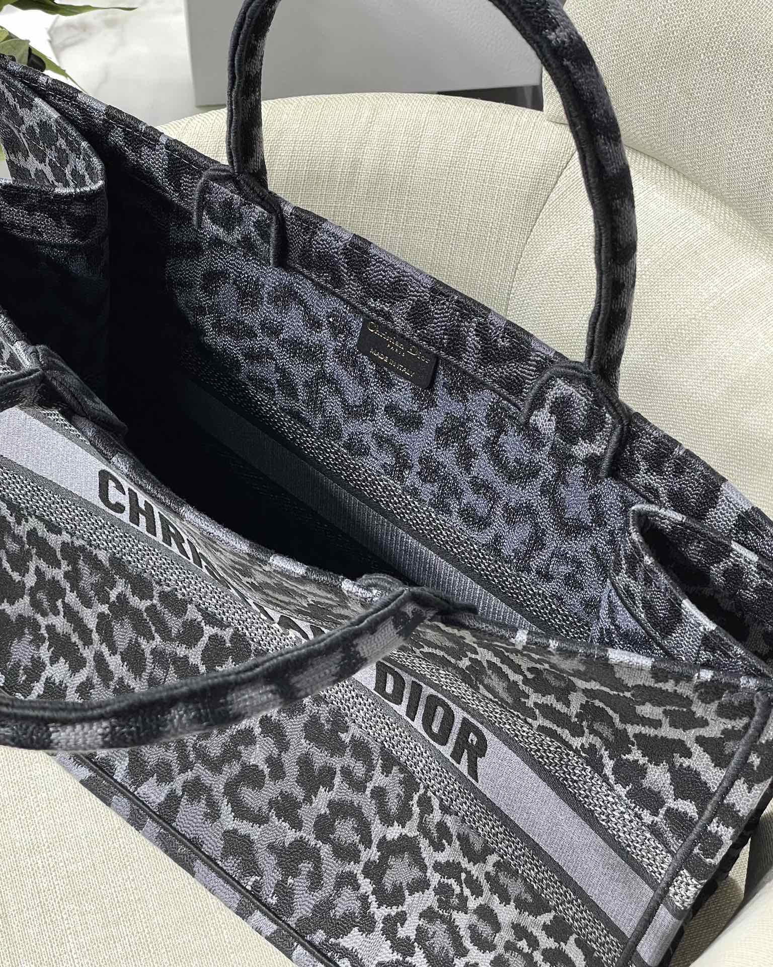 Christian Dior Book Tote Bag