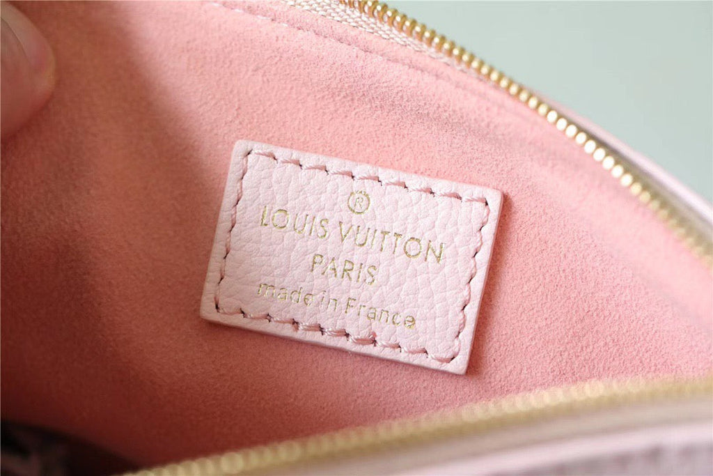 Louis Vuitton Multi Pochette Accessories Bag
