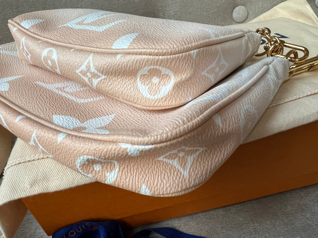 Louis Vuitton Multi Pochette Accessoires Summer By the Pool Limited Edition