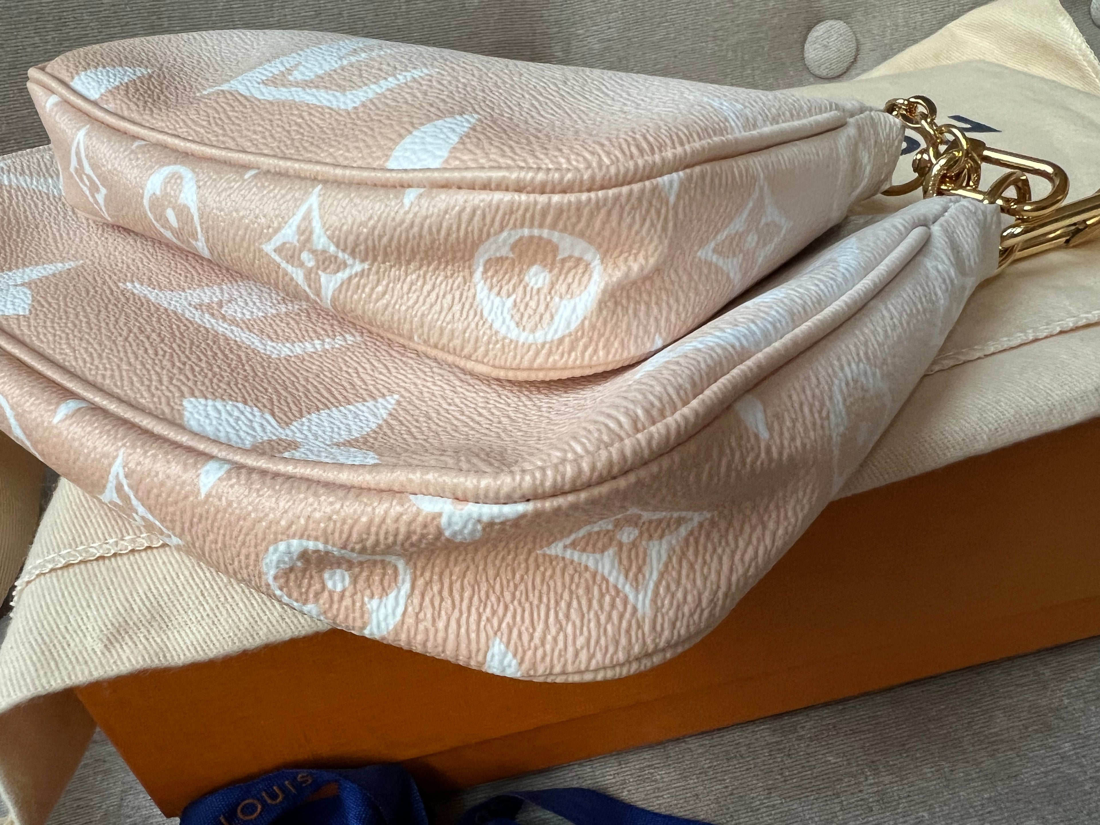 Louis Vuitton Multi Pochette Accessoires Summer By the Pool Limited Edition