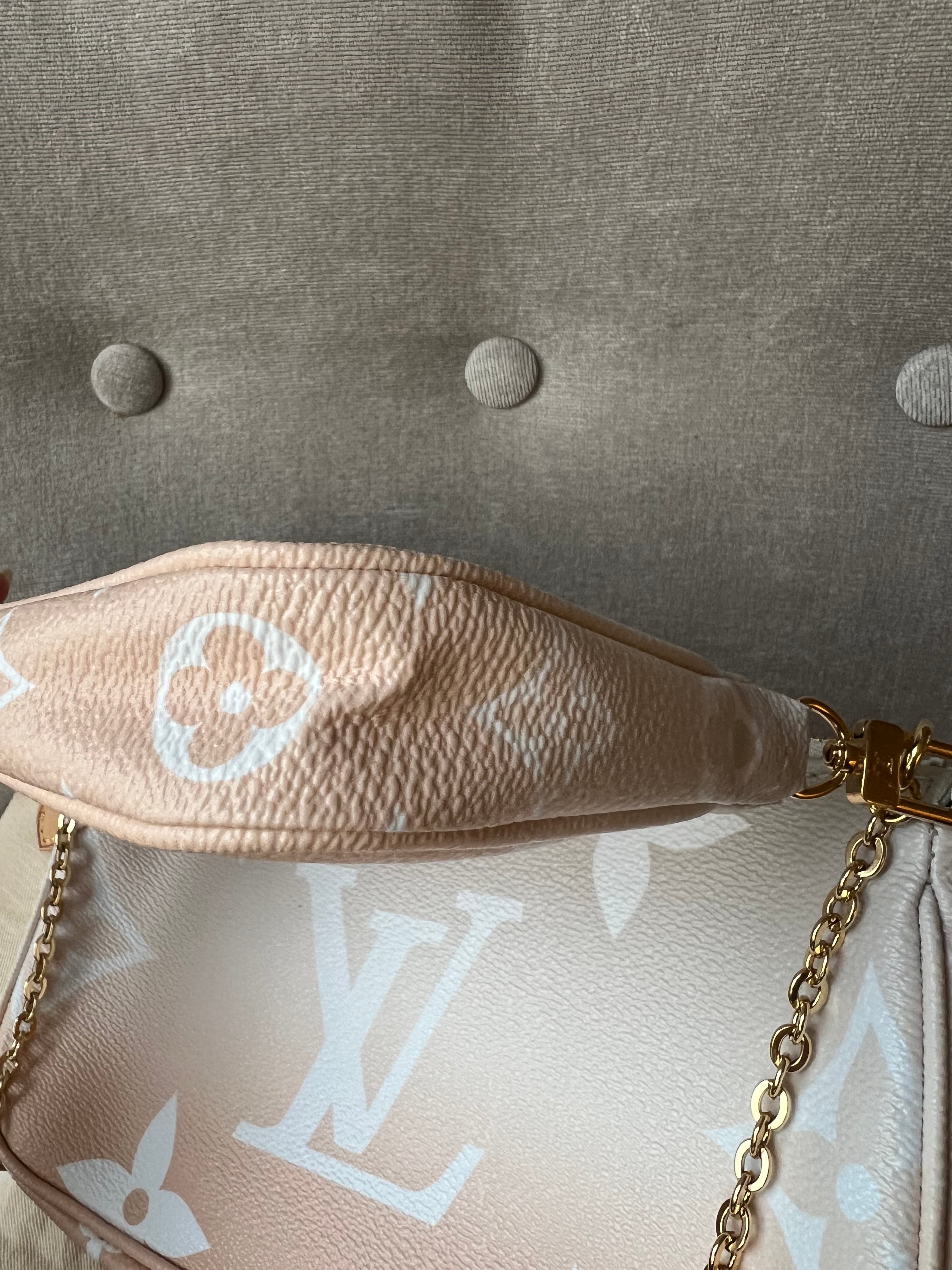 Louis Vuitton Multi Pochette Accessoires Summer By the Pool Limited Edition