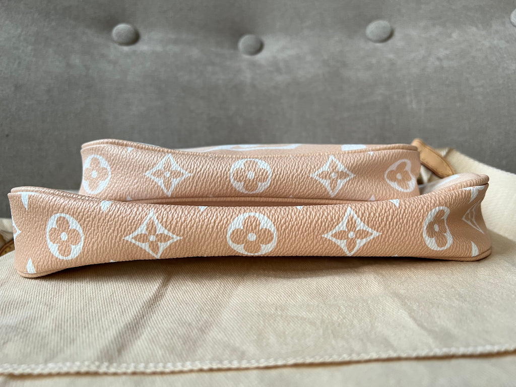 Louis Vuitton Multi Pochette Accessoires Summer By the Pool Limited Edition