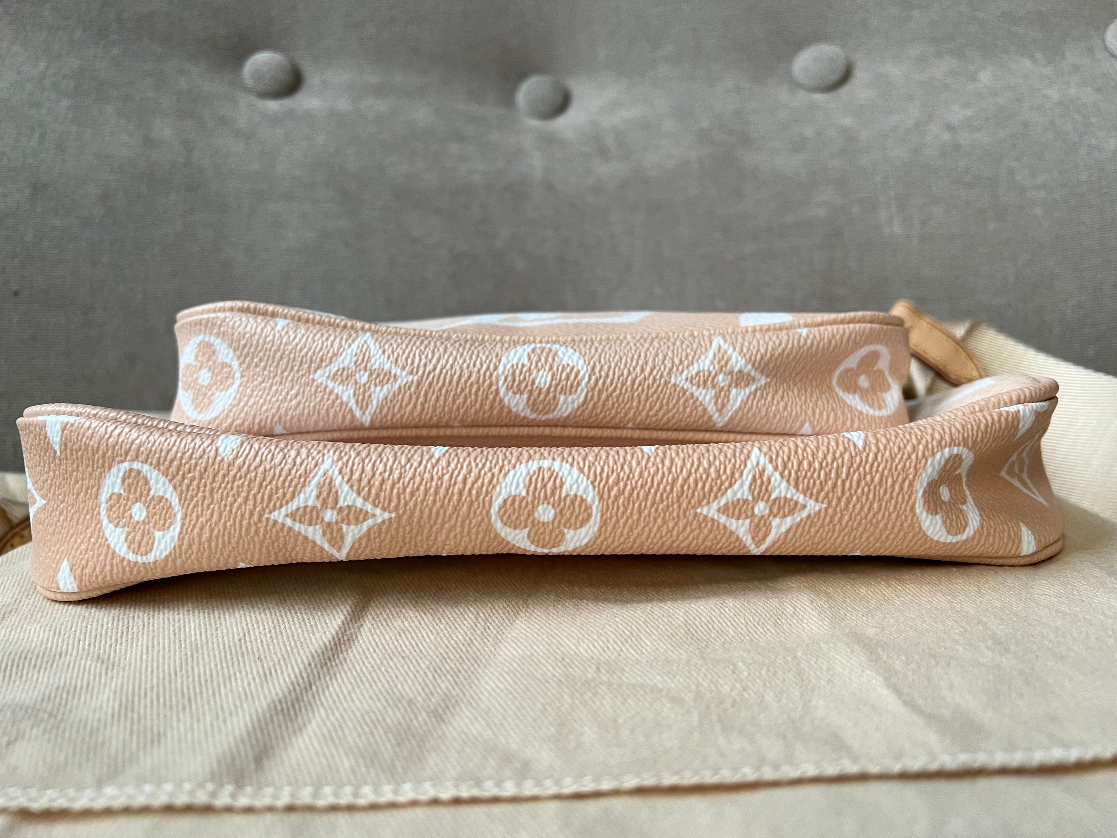 Louis Vuitton Multi Pochette Accessoires Summer By the Pool Limited Edition