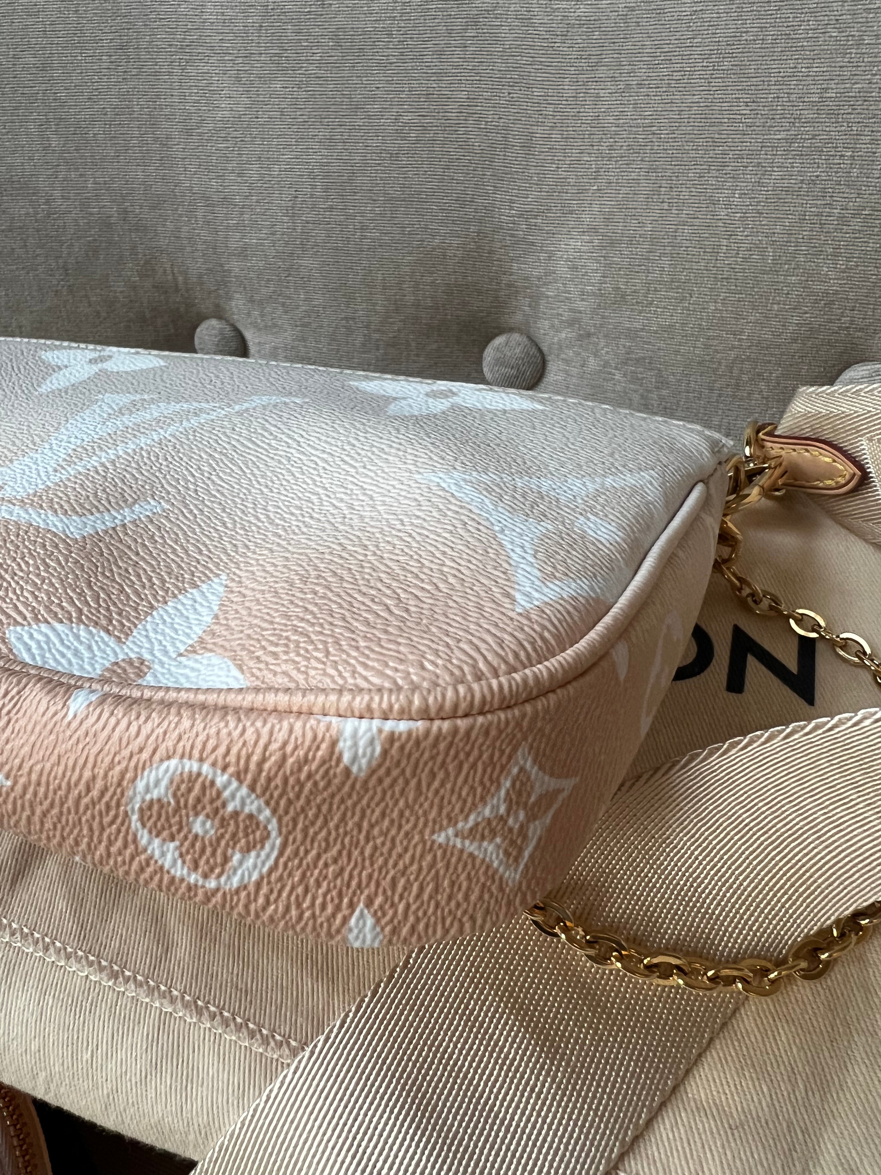 Louis Vuitton Multi Pochette Accessoires Summer By the Pool Limited Edition