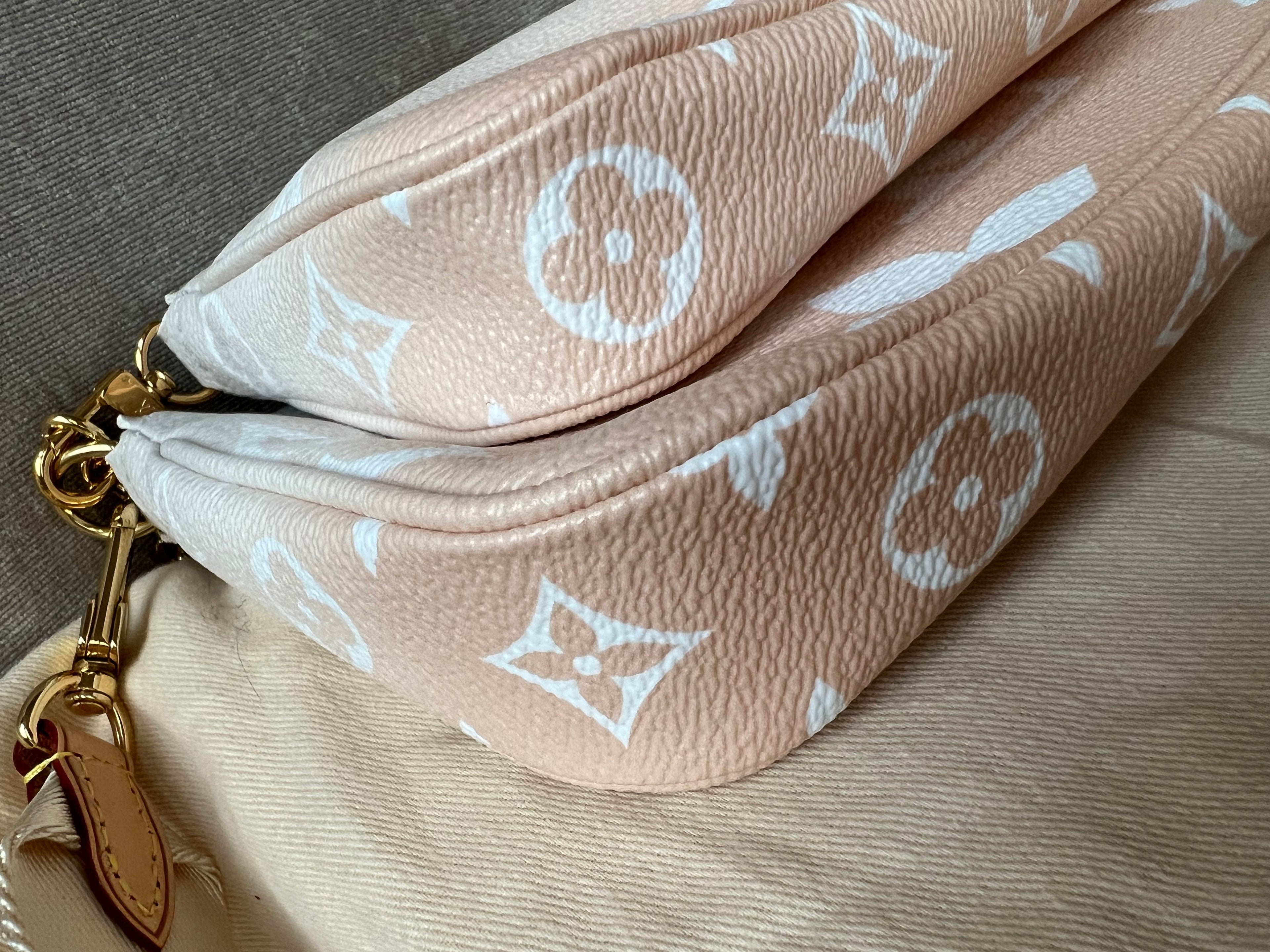 Louis Vuitton Multi Pochette Accessoires Summer By the Pool Limited Edition