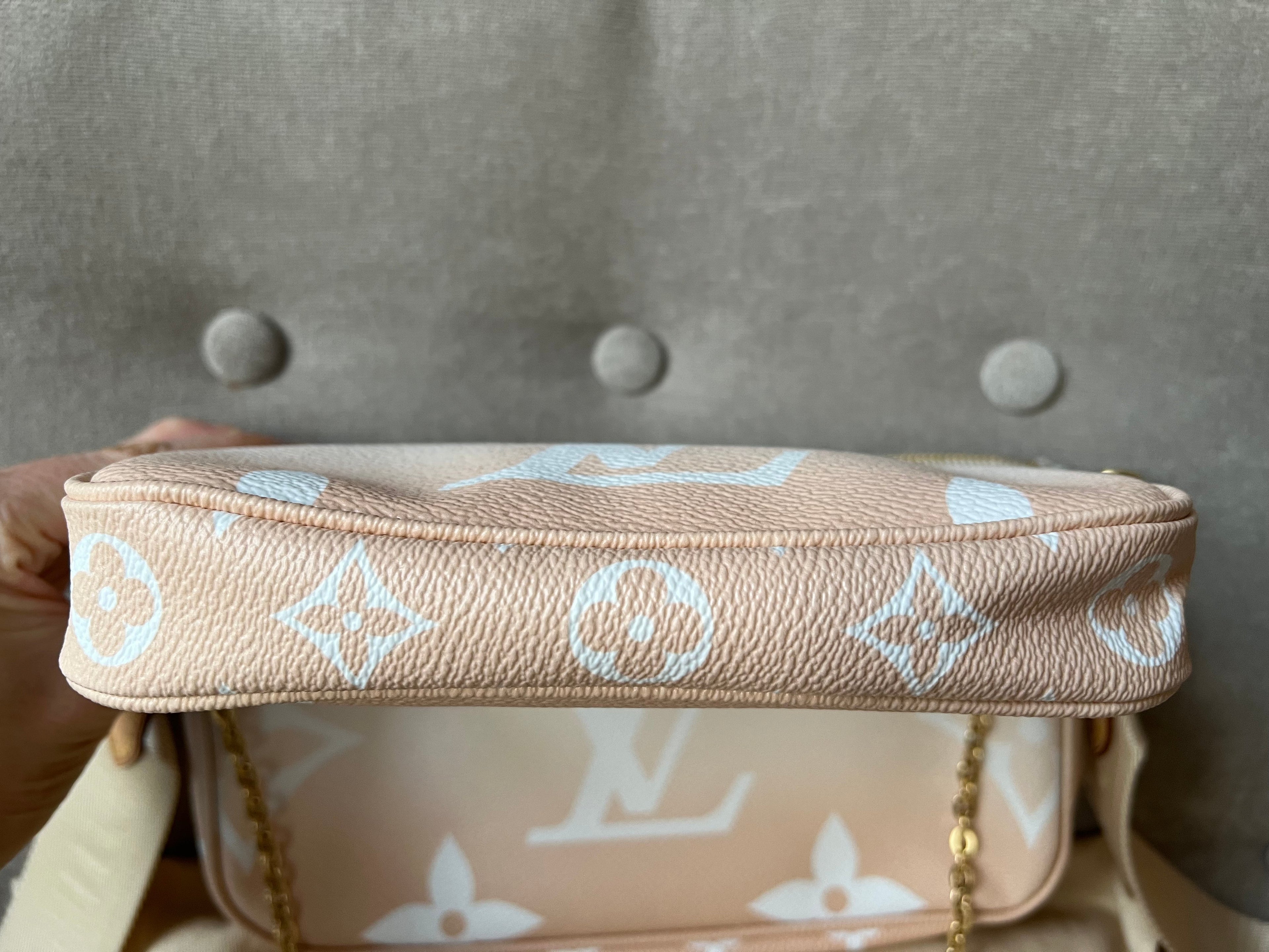 Louis Vuitton Multi Pochette Accessoires Summer By the Pool Limited Edition