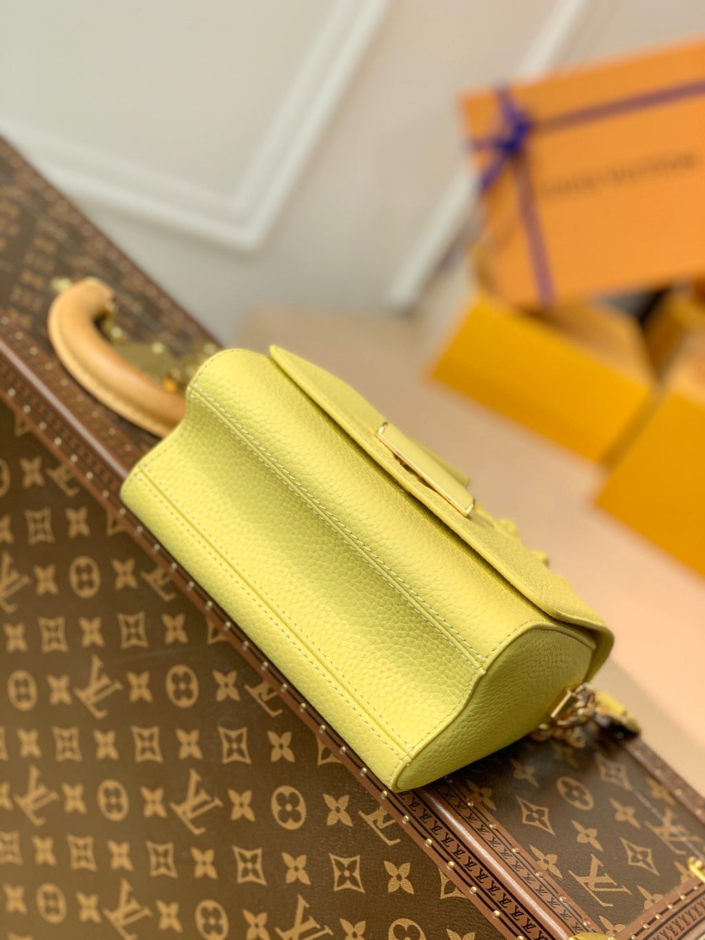 Louis Vuitton Twist PM Bag