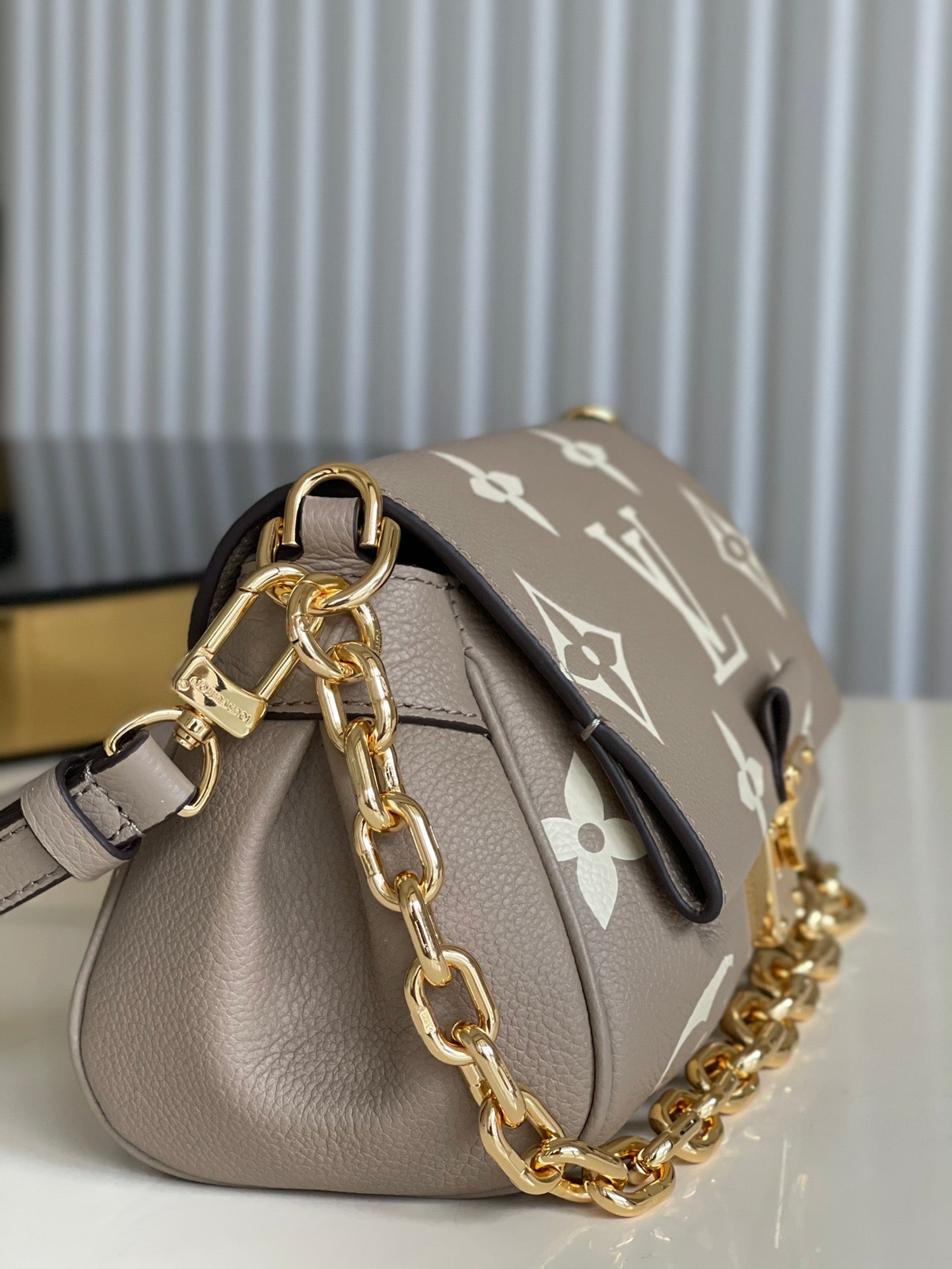 Louis Vuitton Favorite Bag