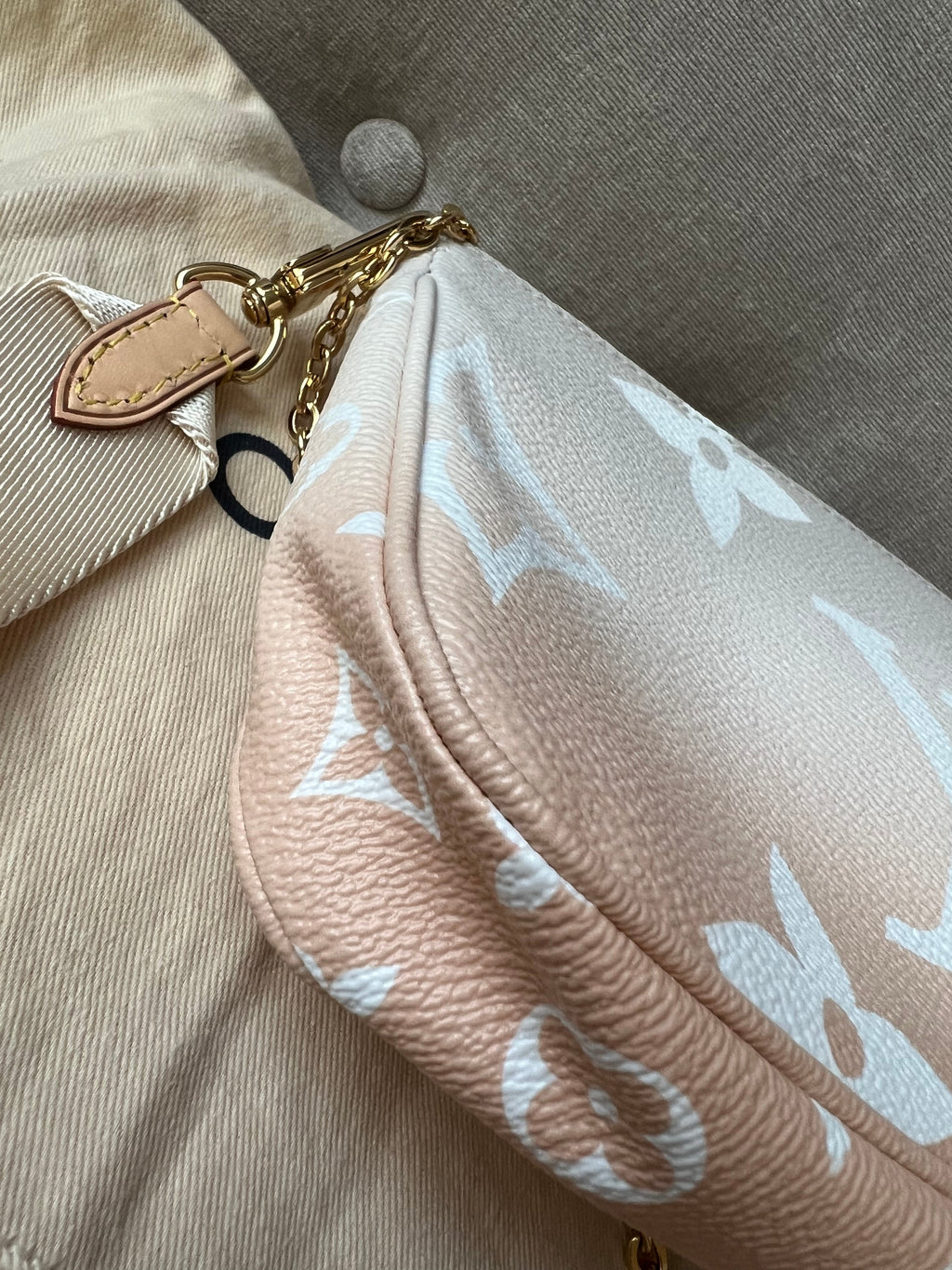 Louis Vuitton Multi Pochette Accessoires Summer By the Pool Limited Edition