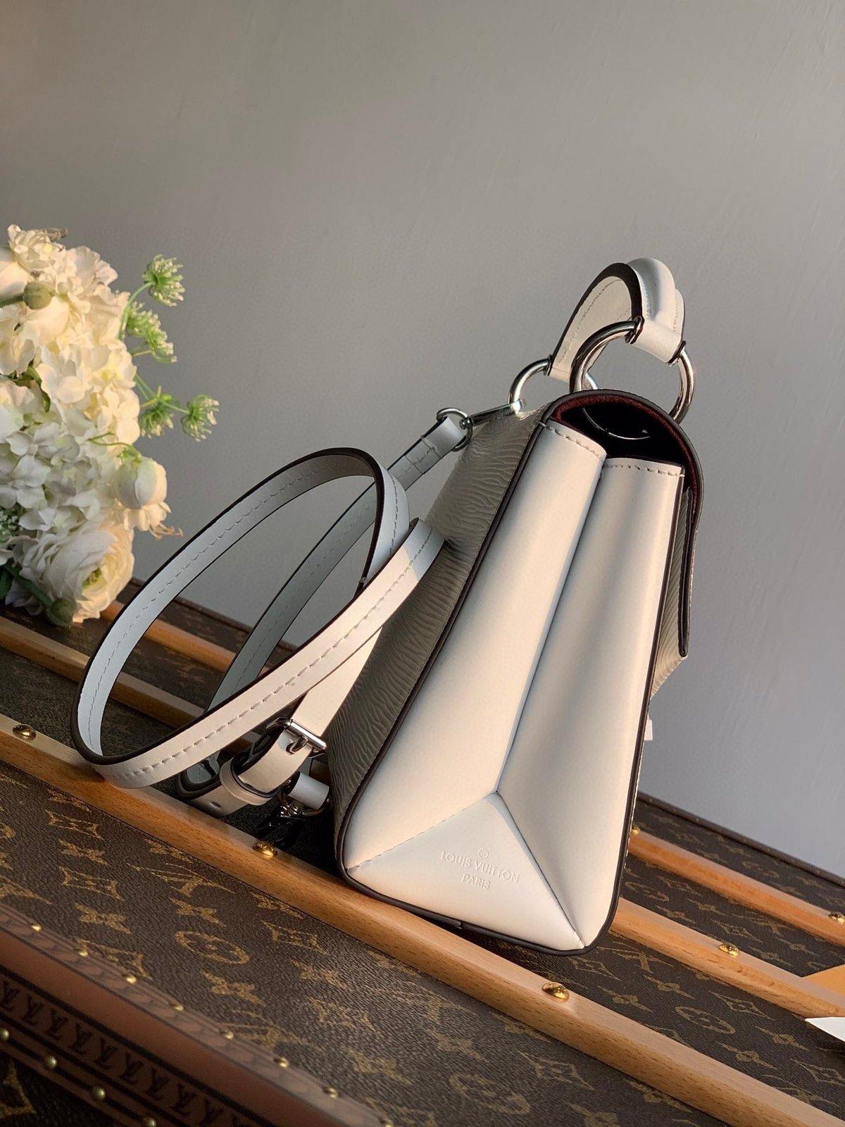 Louis Vuitton Pochette Grenelle Bag