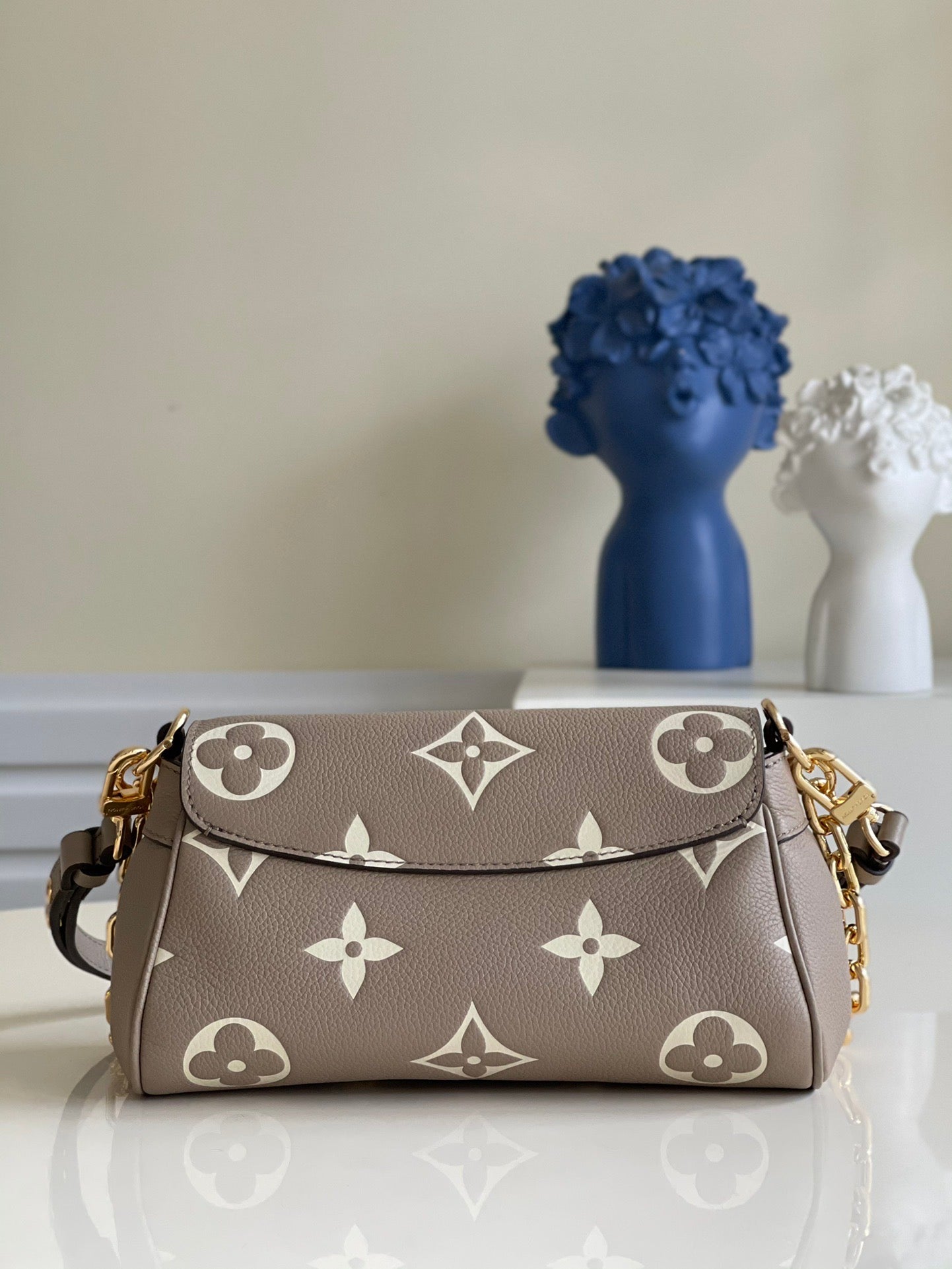 Louis Vuitton Favorite Bag