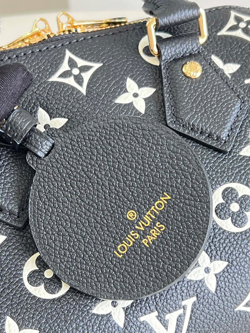 Louis Vuitton Speedy Bandouliere 20 Bag