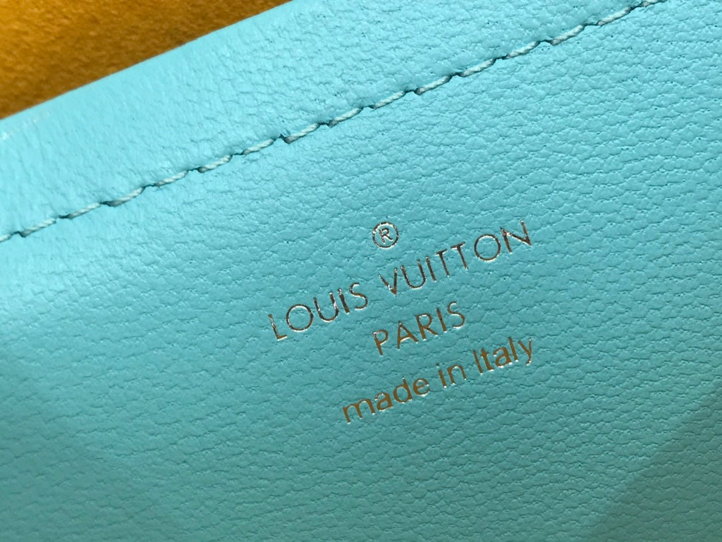 Louis Vuitton Pochette Coussin Bag