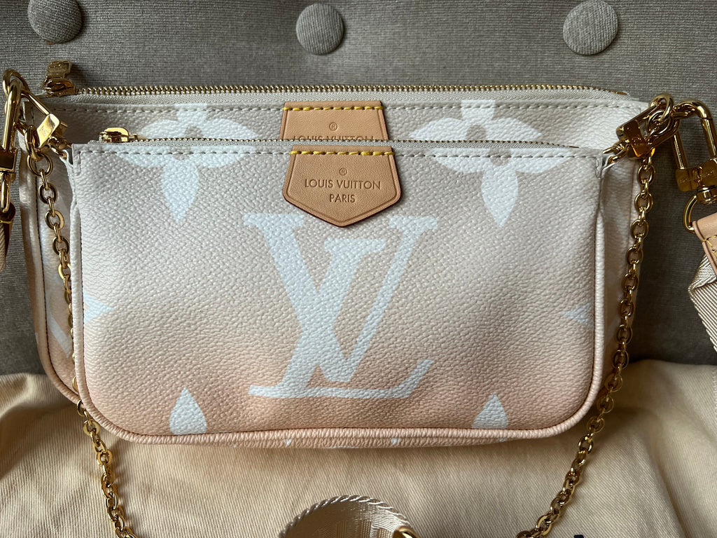 Louis Vuitton Multi Pochette Accessoires Summer By the Pool Limited Edition