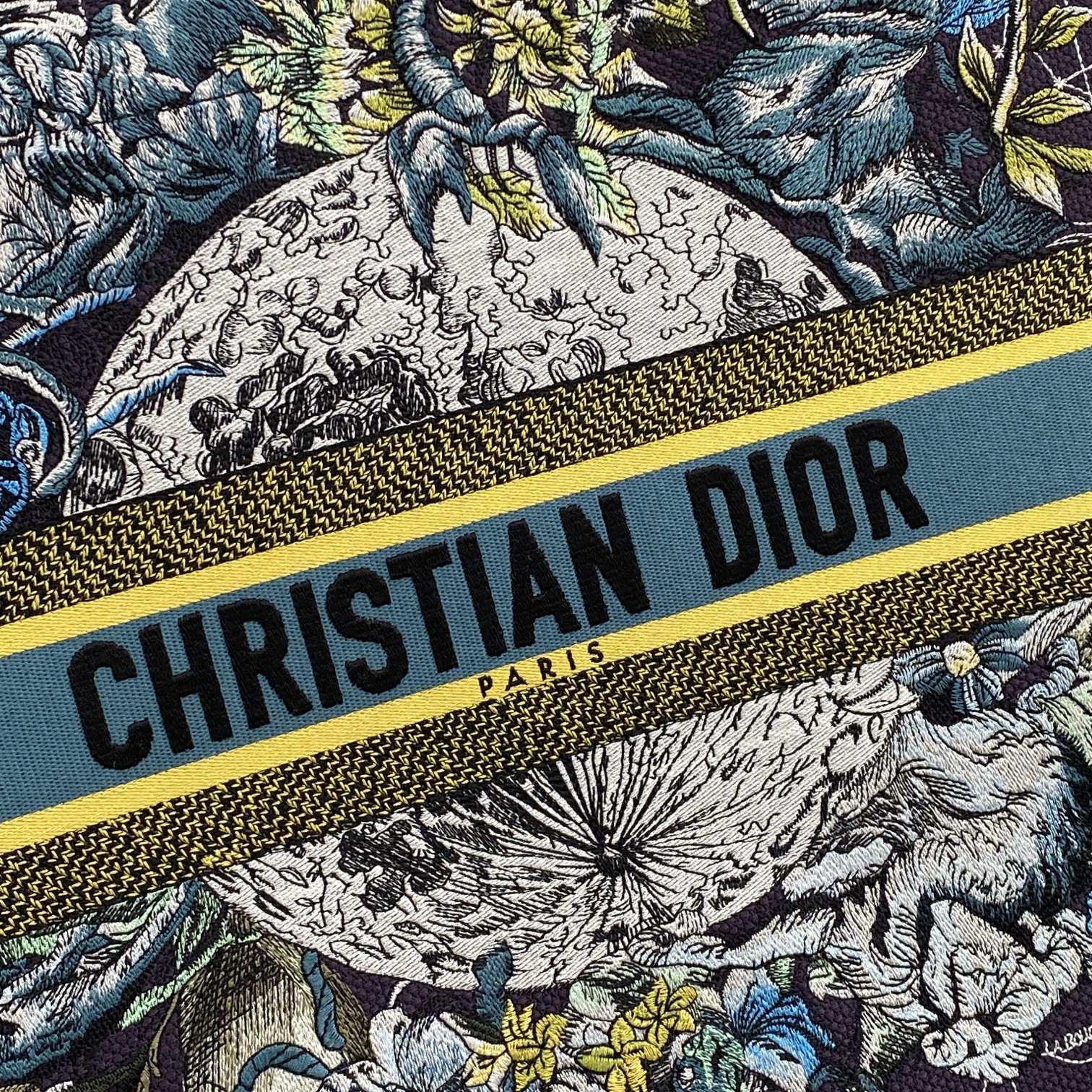 Christian Dior Book Tote Bag