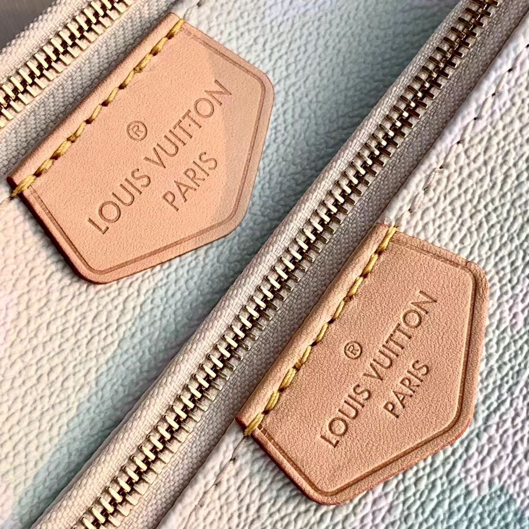 Louis Vuitton Multi Pochette Accessories Bag