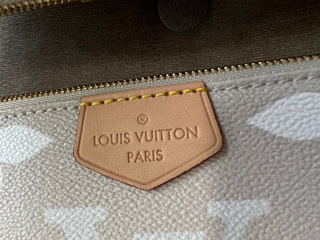 Louis Vuitton Multi Pochette Accessoires Summer By the Pool Limited Edition