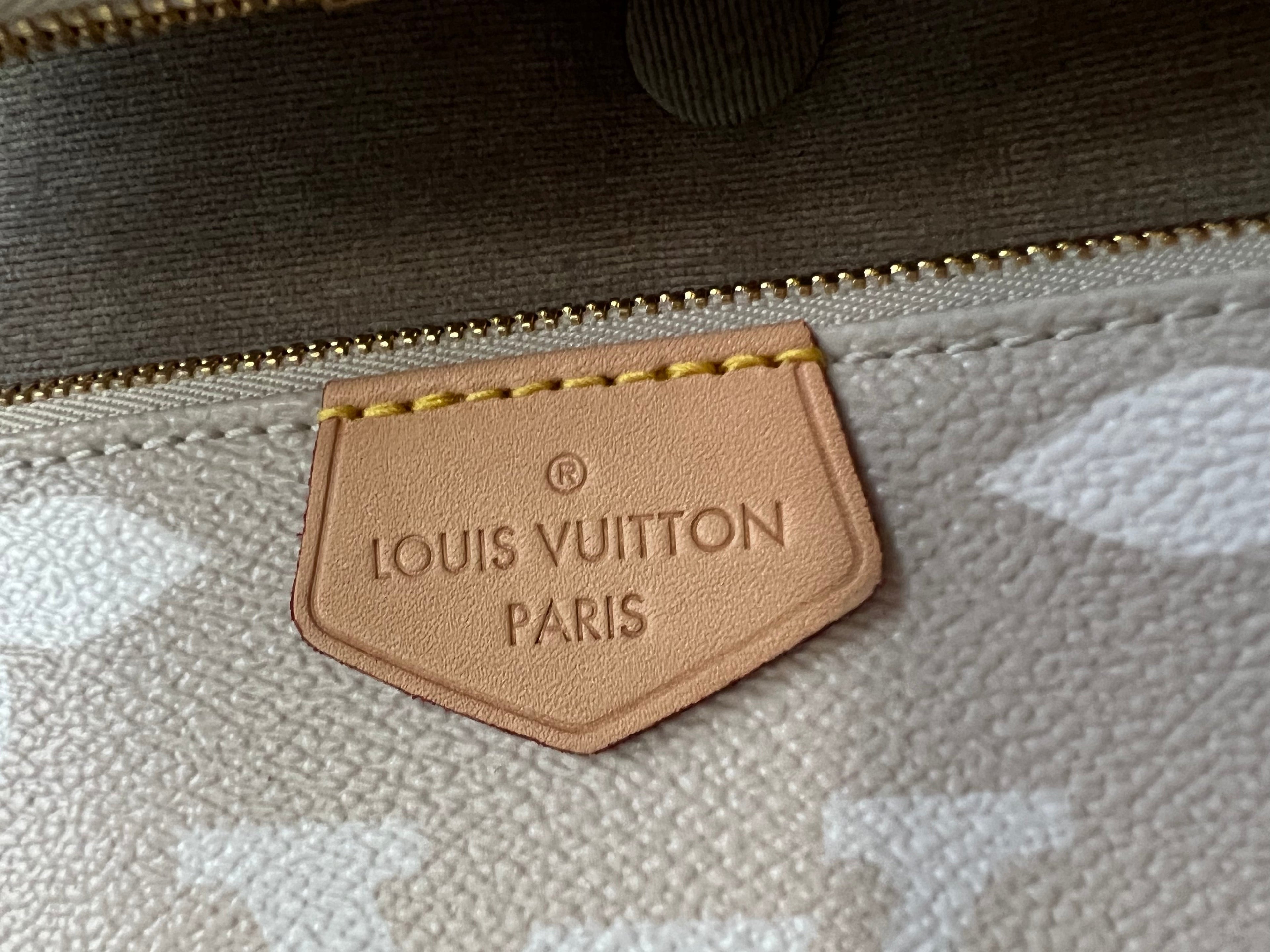 Louis Vuitton Multi Pochette Accessoires Summer By the Pool Limited Edition