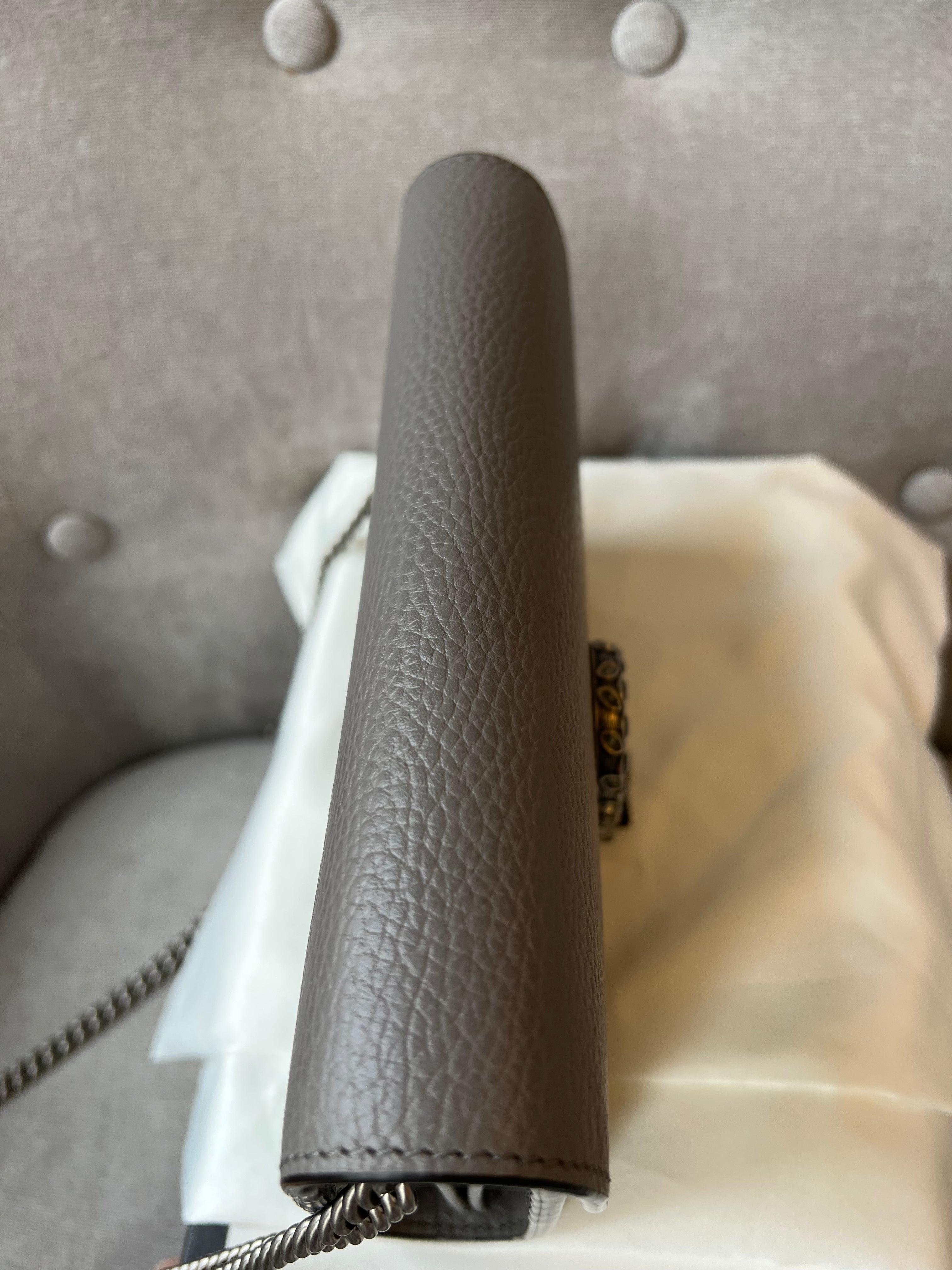 Gucci Dionysus Grey Mini Chain Bag (RRP £1340)