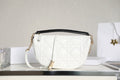 Christian Dior Small Vibe Hobo Bag