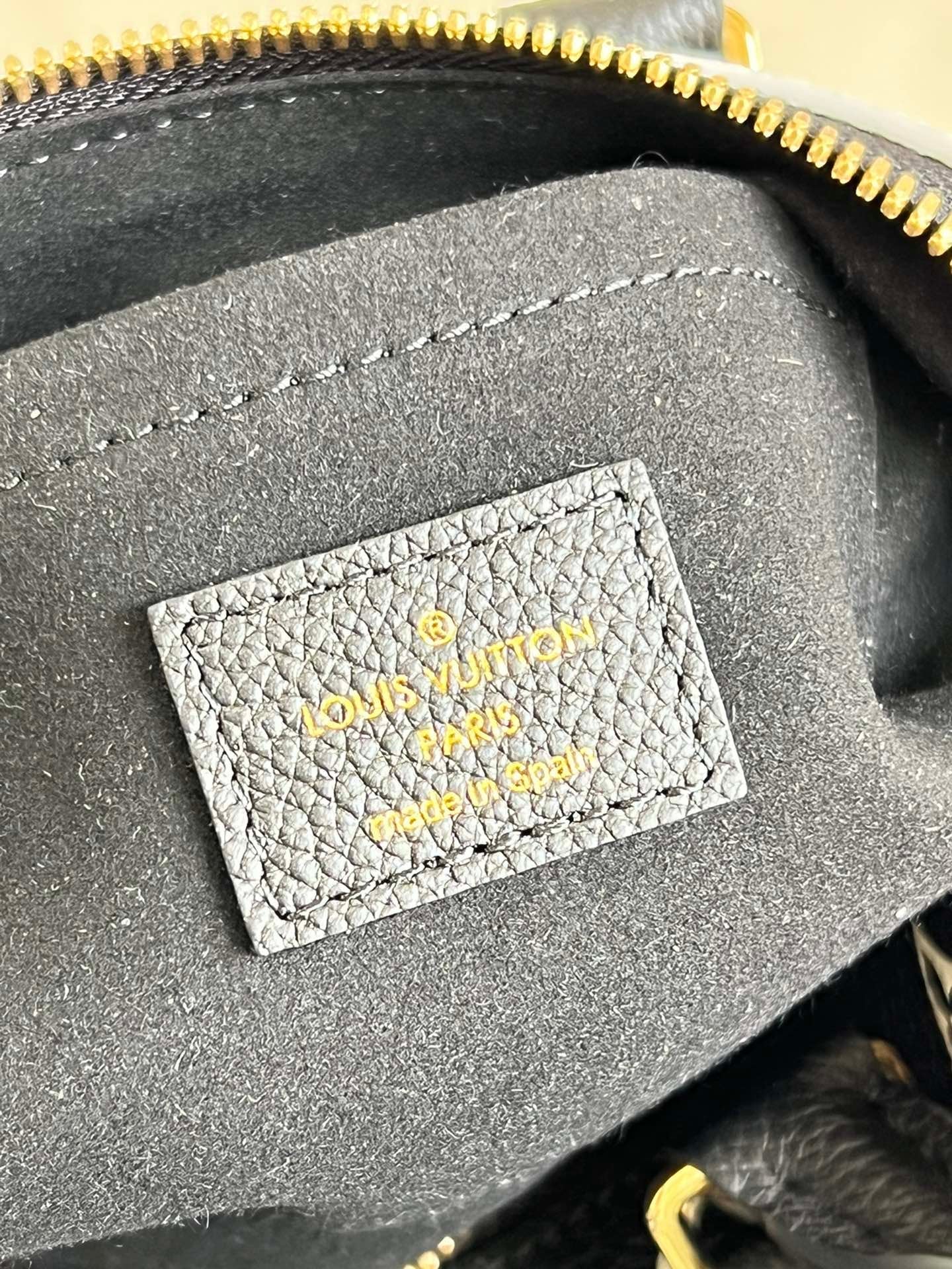 Louis Vuitton Speedy Bandouliere 20 Bag