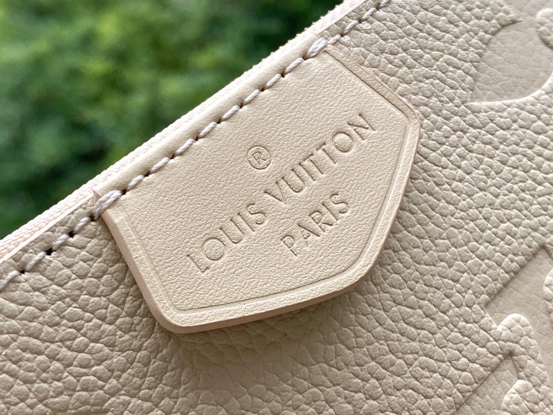 Louis Vuitton Multi Pochette Accessories Bag