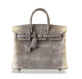 Hermès Birkin 25 Ombre Lizard Bag PHW