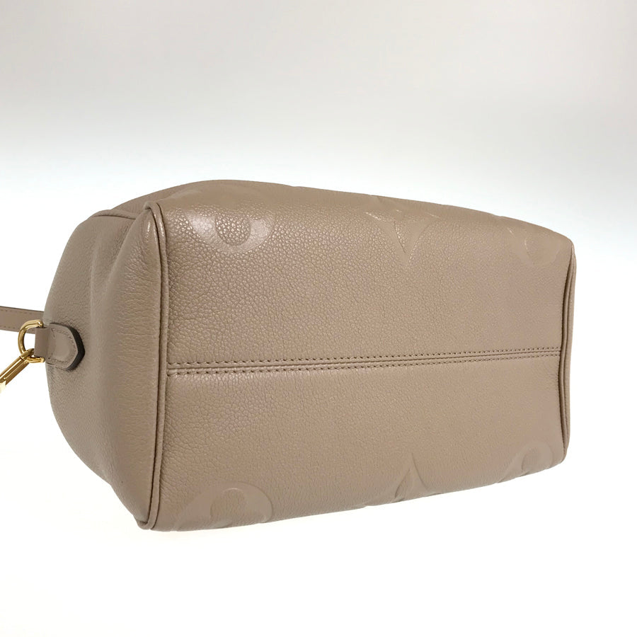 LOUIS VUITTON 2WAY Shoulder Handbag